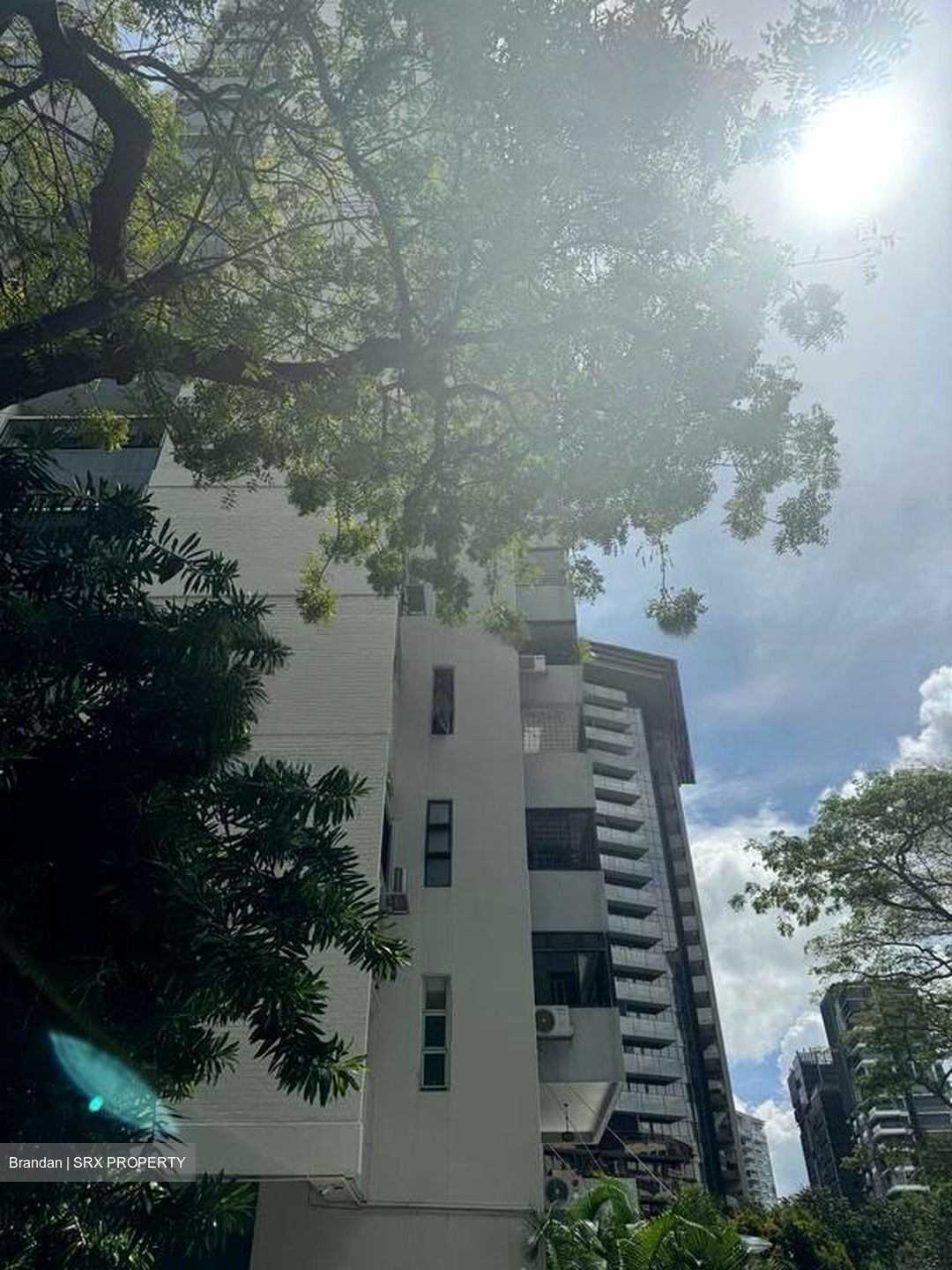 King's Mansion (D15), Condominium #468161981